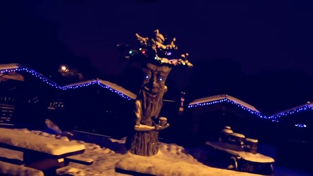 My homemade STADYCAM test смотреть онлайн