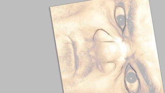 Adobe Photoshop CS4 3D Acceleration in Canvas Rotation смотреть онлайн