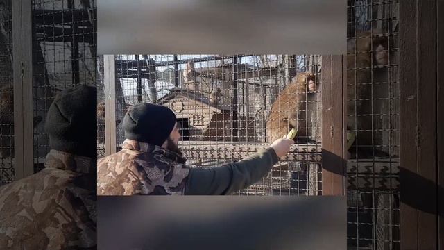 Импортозамещение смотреть онлайн