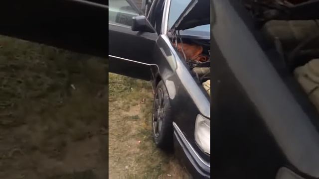 ККАМИЛЬ МЕРС 124 смотреть онлайн