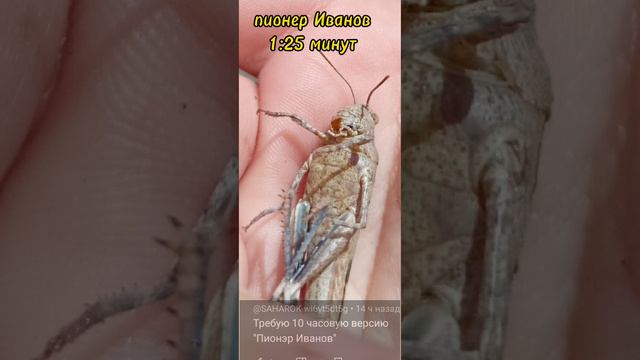 1:25 минут версия пионер Иванов