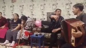 Пуни сиванка