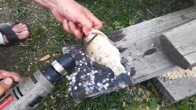 как быстро почистить рыбу смотреть онлайн