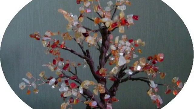 деревья на которых растут самоцветы - 2_0001.wmv смотреть онлайн