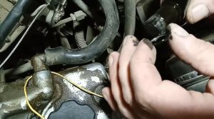 Ч2. Калина Р0340