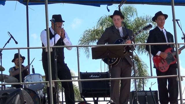 BLUES IN LAPA - DUST MY BROOM (ELMORE JAMES ) смотреть онлайн