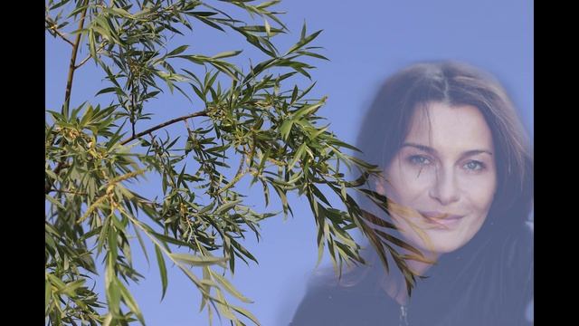 Нетрадиционная ориентация с точки зрения магии смотреть онлайн