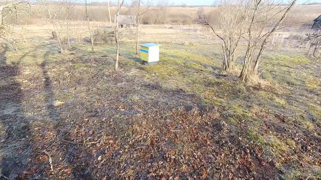 Первые пчёлы. смотреть онлайн