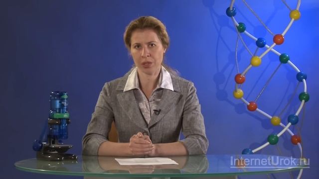 Энергетический обмен в клетке. Видеоурок по биологии 10 класс смотреть онлайн