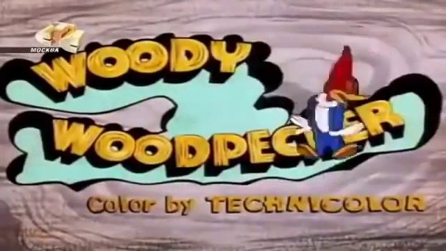 Assistir Pica Pau Em Português