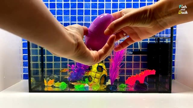 Surprise Eggs | Tropical Fish Surprise - Tetra, Frog, Goldfish, Neon fish, Thorns смотреть онлайн