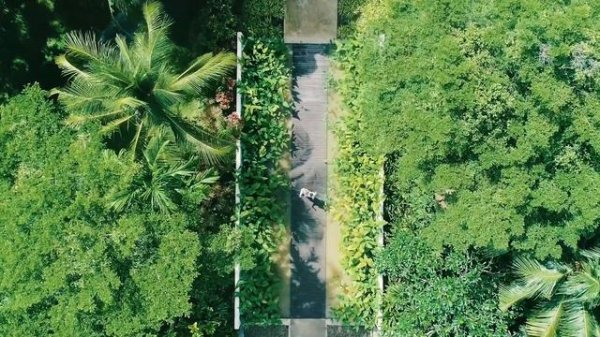 Sea Sand Sun Resort and Villa Hotel's video Overview