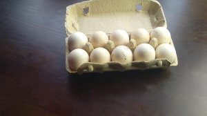 Кровяное кольцо в инкубации // Что это, и как избежать// Ошибки бытовой инкубации// С.Х.У