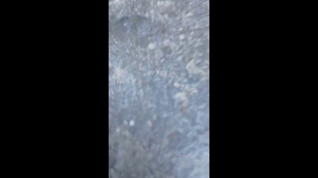 25 июля 2022 г. смотреть онлайн