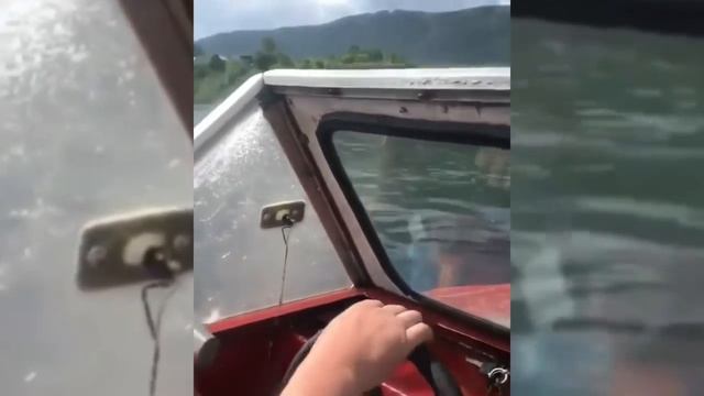 На реке Витим под Бодайбо мужики на лодке пытались утопить оленя. смотреть онлайн