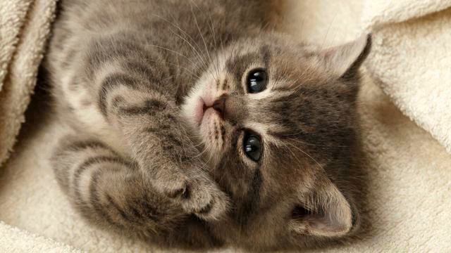 Музыка 2014. Крутая! Как же девушка поет!!! смотреть онлайн