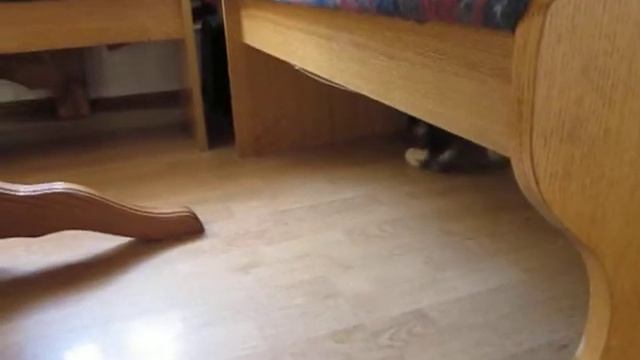 MVI_4097.avi смотреть онлайн