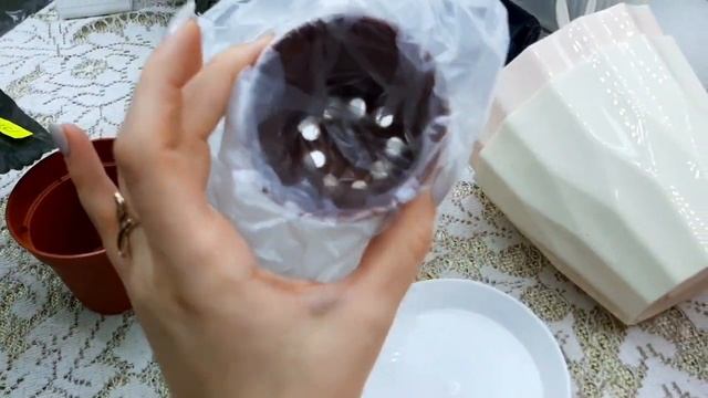 Декоративный горшок - кашпо для фиалки. Магазин фиалок в Одессе смотреть онлайн