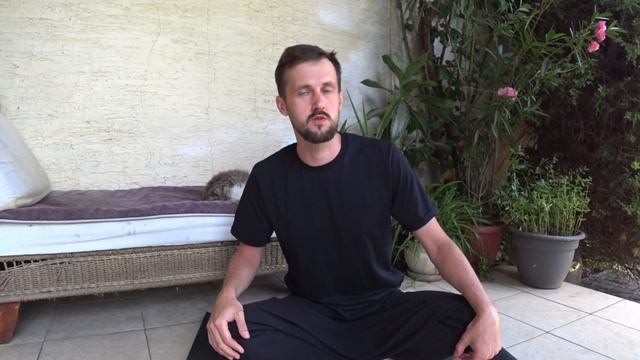 #2 Важные моменты в практике йоги которые нельзя упускать. Этапы в йоге #yogalife #йога #йогауроки