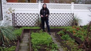 Ваш вопрос   мой ответ  Размеры деревянных грядок  Схема моего огорода