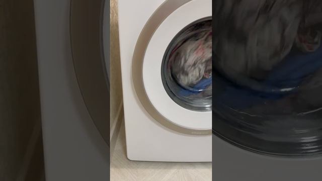 Добрый день! Новая машинка Gorenje, в эксплуатации меньше по... смотреть онлайн