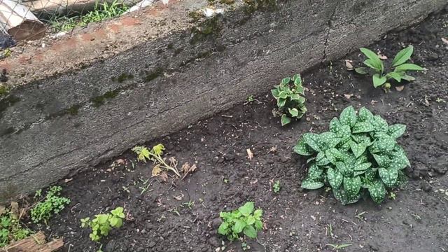 Экскурсия по моему двору😊 смотреть онлайн