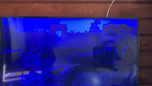 зря я туда пошёл смотреть онлайн