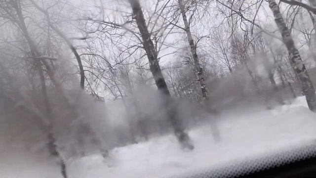 Череповец | Поездка на автобусе НефАЗ-5299-40-57 (В001РУ35) | Маршрут 39 смотреть онлайн