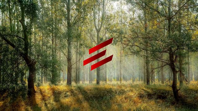 NAPASOV – People star смотреть онлайн