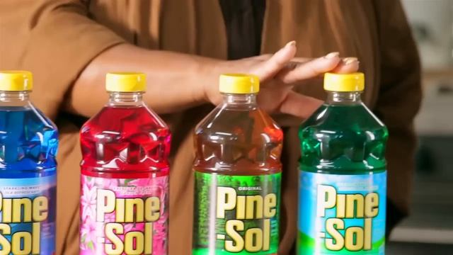 Meet the Pine-Sol® Family смотреть онлайн
