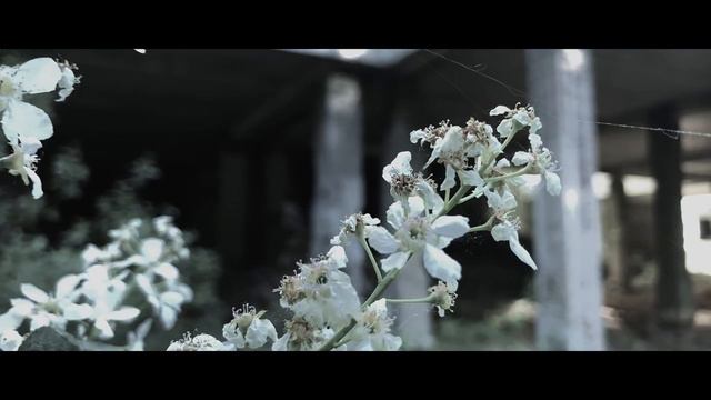 Exodus (2024 - Исход)