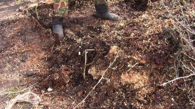 Компостная яма в наглядном виде. Разводим красных червей в яме. Компостная яма. смотреть онлайн