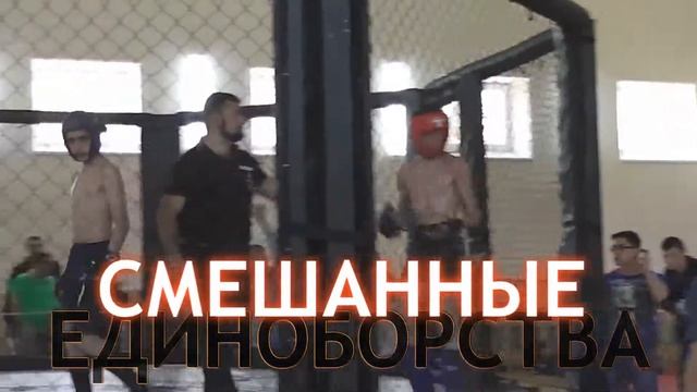 Шахты - Смешанные единоборства ММА 10