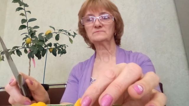 VID 20210130 Дегустация: Австралийский лайм Санрайз и м-н Тардиво. смотреть онлайн