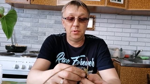 Вырвал всю Клубнику. #деревенскийтренд