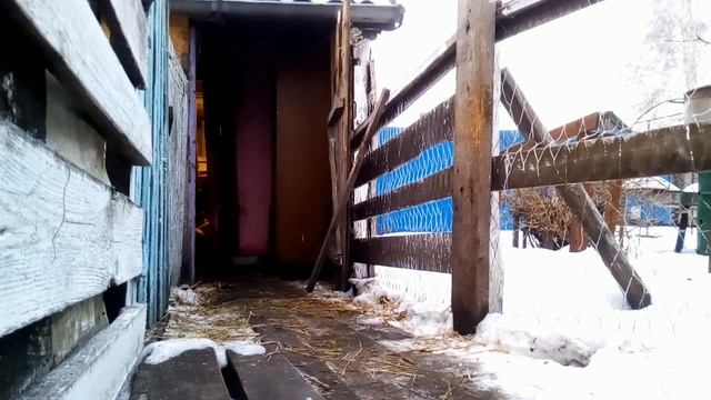 Очень вкусная начинка для пирожков!!!Варёнка для курей и гусей смотреть онлайн