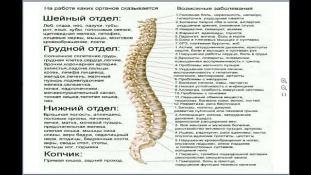 Если болезней много, болезнь одна - позвоночник!