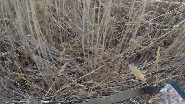 Закрытие весеннего сезона на утку. смотреть онлайн