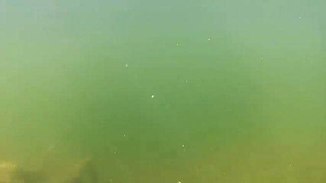 Подводный мир Липецкой области- река Матыра смотреть онлайн