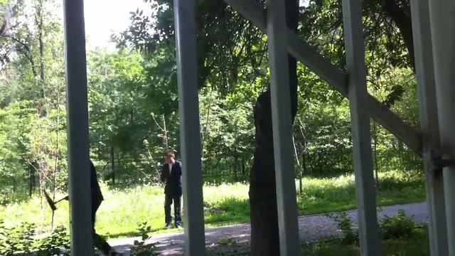 Где растут веники :D смотреть онлайн