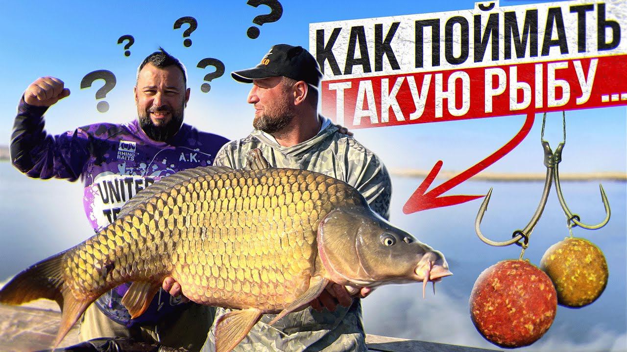 Есть вопросы к чемпионам… Отвечаем! смотреть онлайн