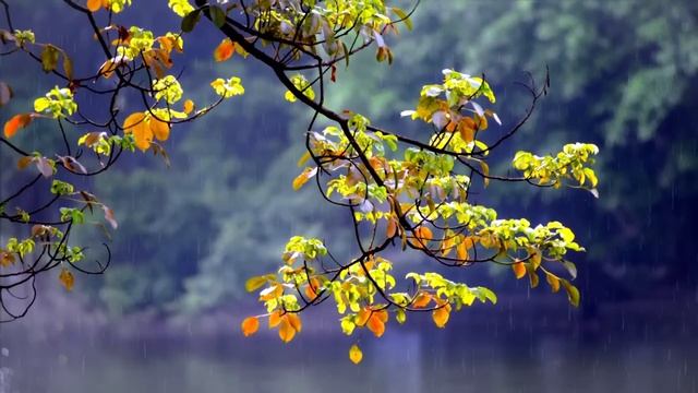Ведьмы - большой сборник/ Деревенские страшилки/ Сборник страшных историй смотреть онлайн