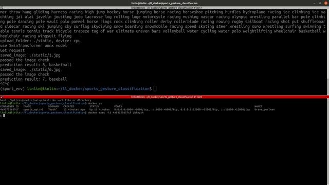 Sports Gesture Classification API on Docker смотреть онлайн