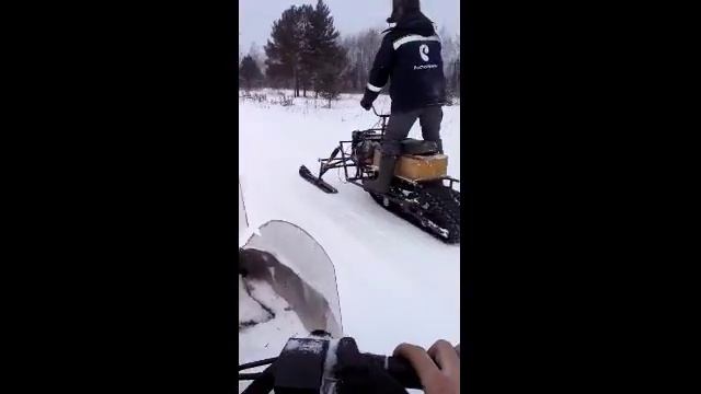 самодельный снегоход и рысь смотреть онлайн