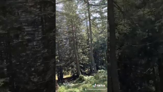 Горы Швейцарии смотреть онлайн