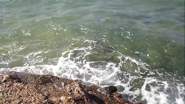 Танец моря смотреть онлайн