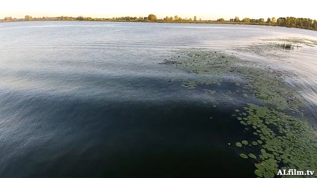 Сверху. Опасный полёт коптера. DJI Phantom смотреть онлайн