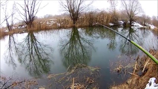 Река Икорец в Лискинском районе 10.03.2019 г. смотреть онлайн