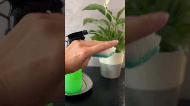 Набор для ухода за растениями смотреть онлайн