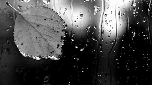 Сергей♫♪Maestro Дикое сердце-стихи Мария Грезнева смотреть онлайн